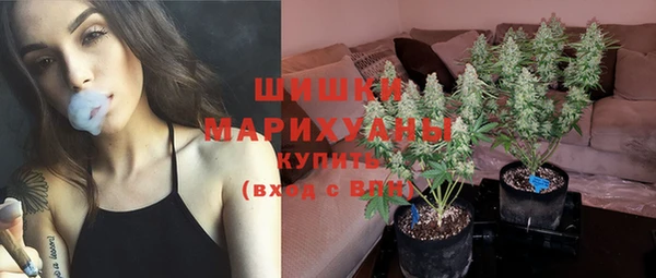 spice Волоколамск