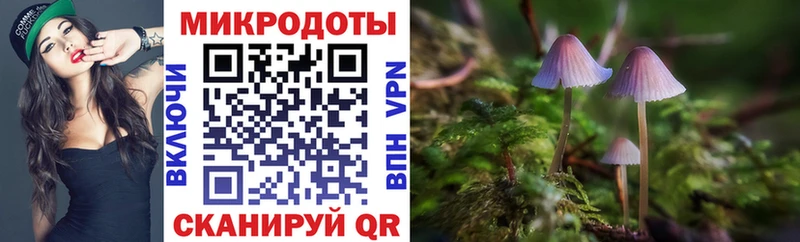 kraken онион Дедовск сайты даркнета как зайти Псилоцибиновые грибы Psilocybine cubensis